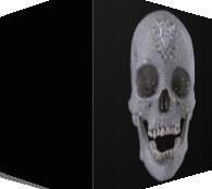 3 d prikaz mrtvacke glave uradene nanacin ukrasavanja same lubaanje